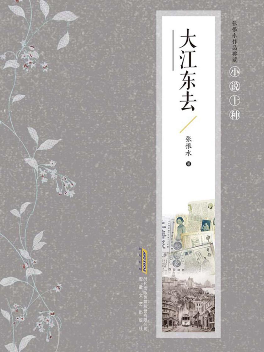 张恨水作品典藏·小说十种:
大江东去