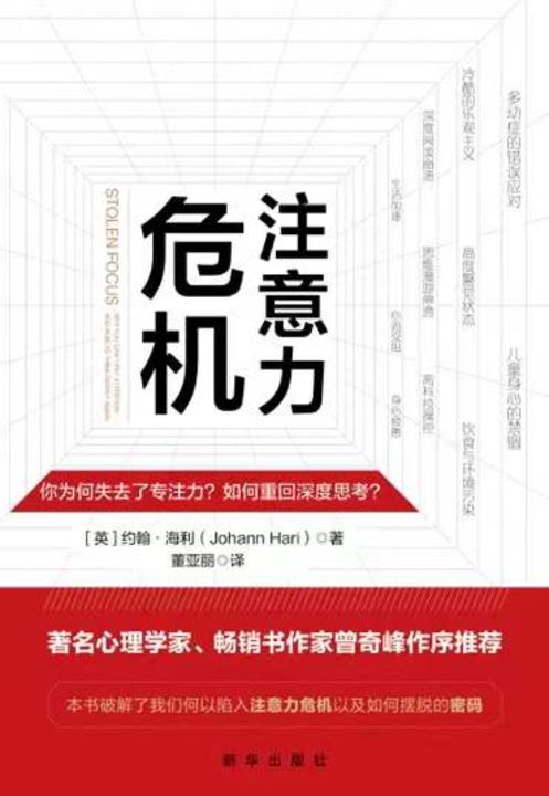 注意力危机:你为什么失去专注力?如何重回深度思考?(著名心理学家曾奇峰作序推荐)