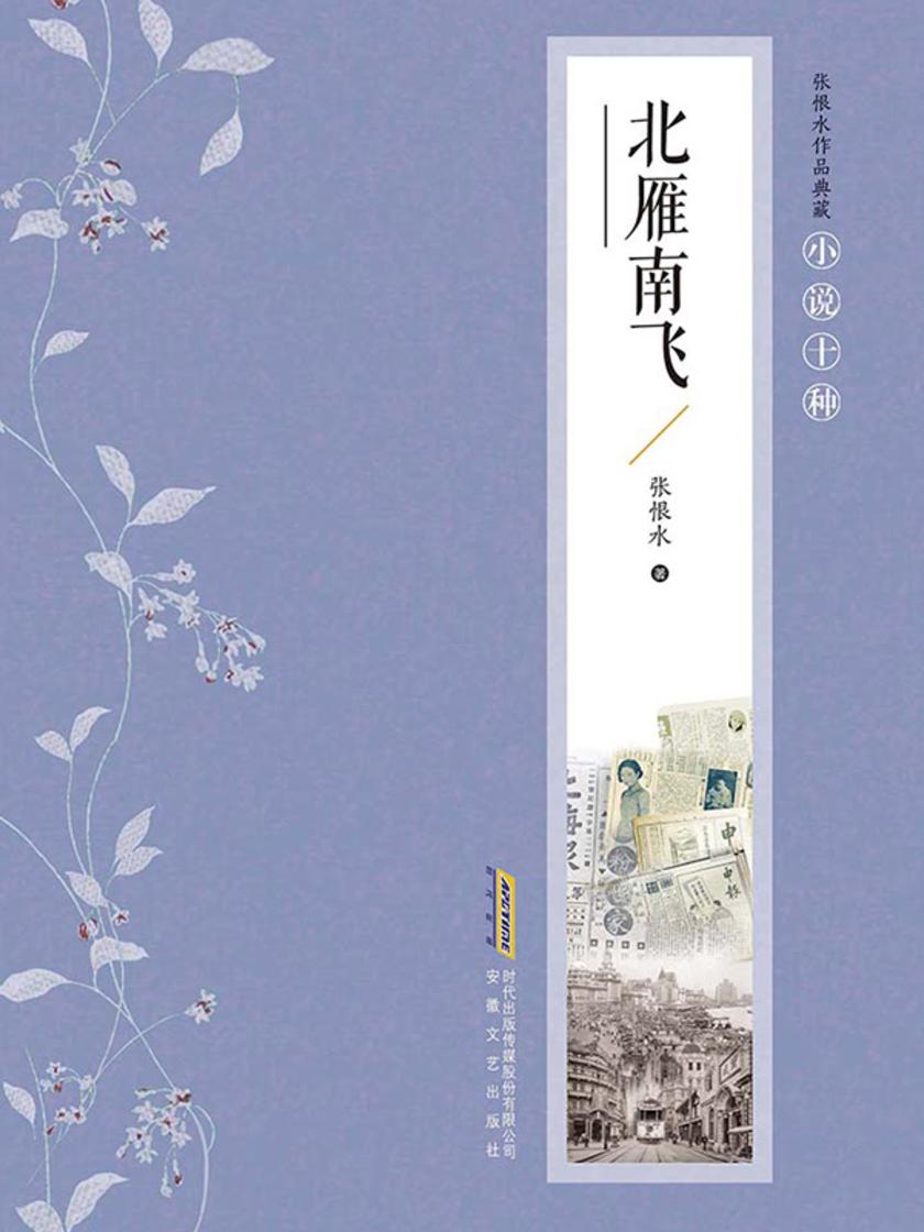 张恨水作品典藏·小说十种:
北雁南飞