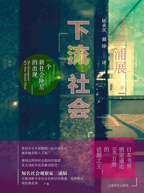 下流社会：一个新社会阶层的出现