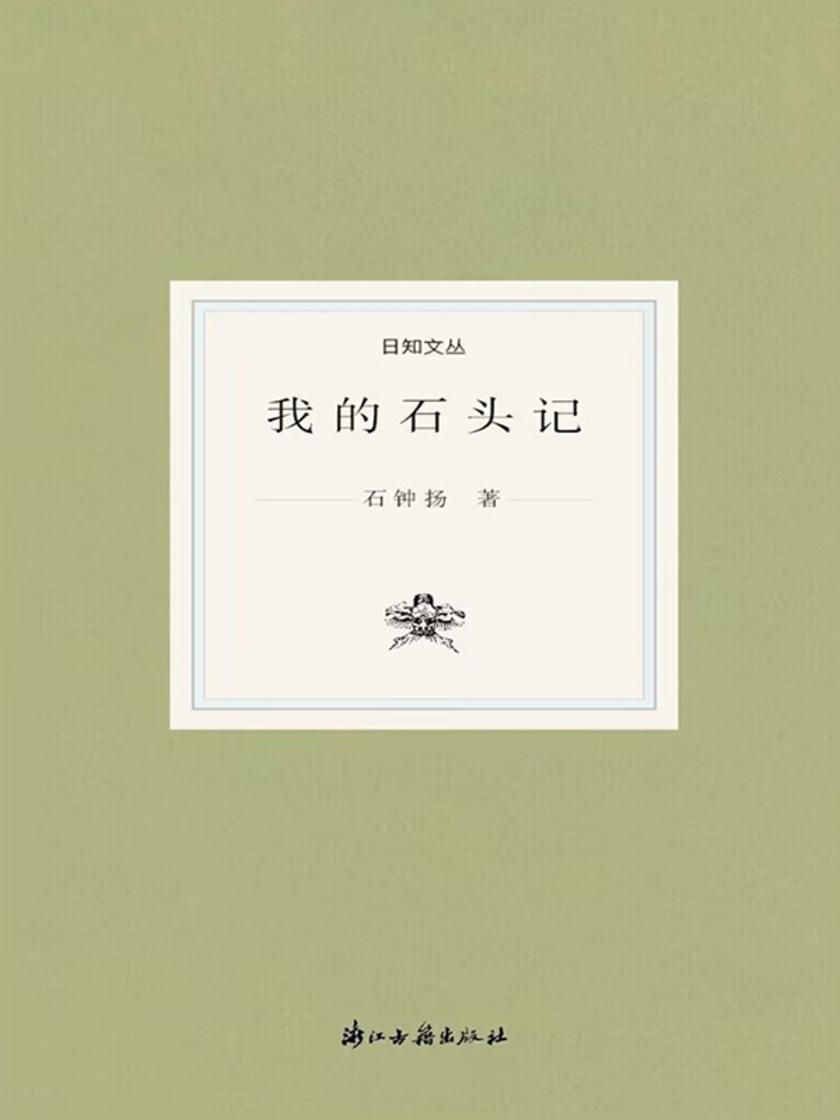 我的石头记()