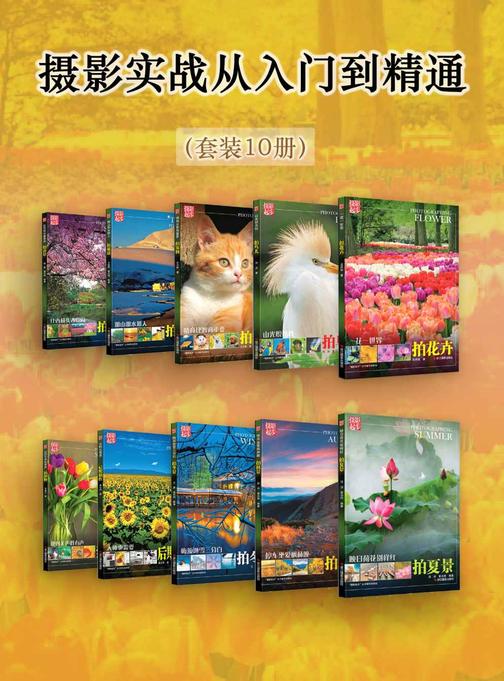 摄影实战从入门到精通(套装10册)(摄影起步)