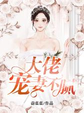 大佬宠妻不腻