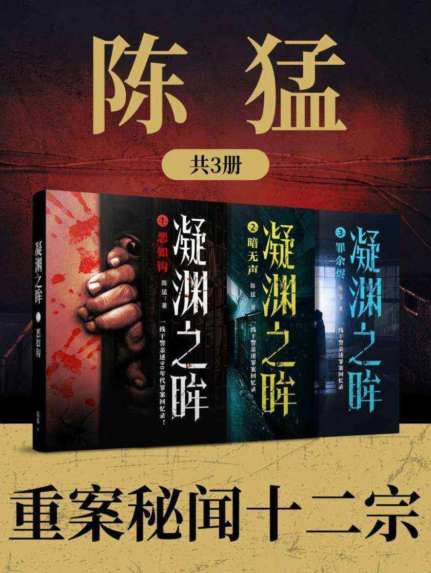 刑警陈猛:重案秘闻十二宗(共3册)