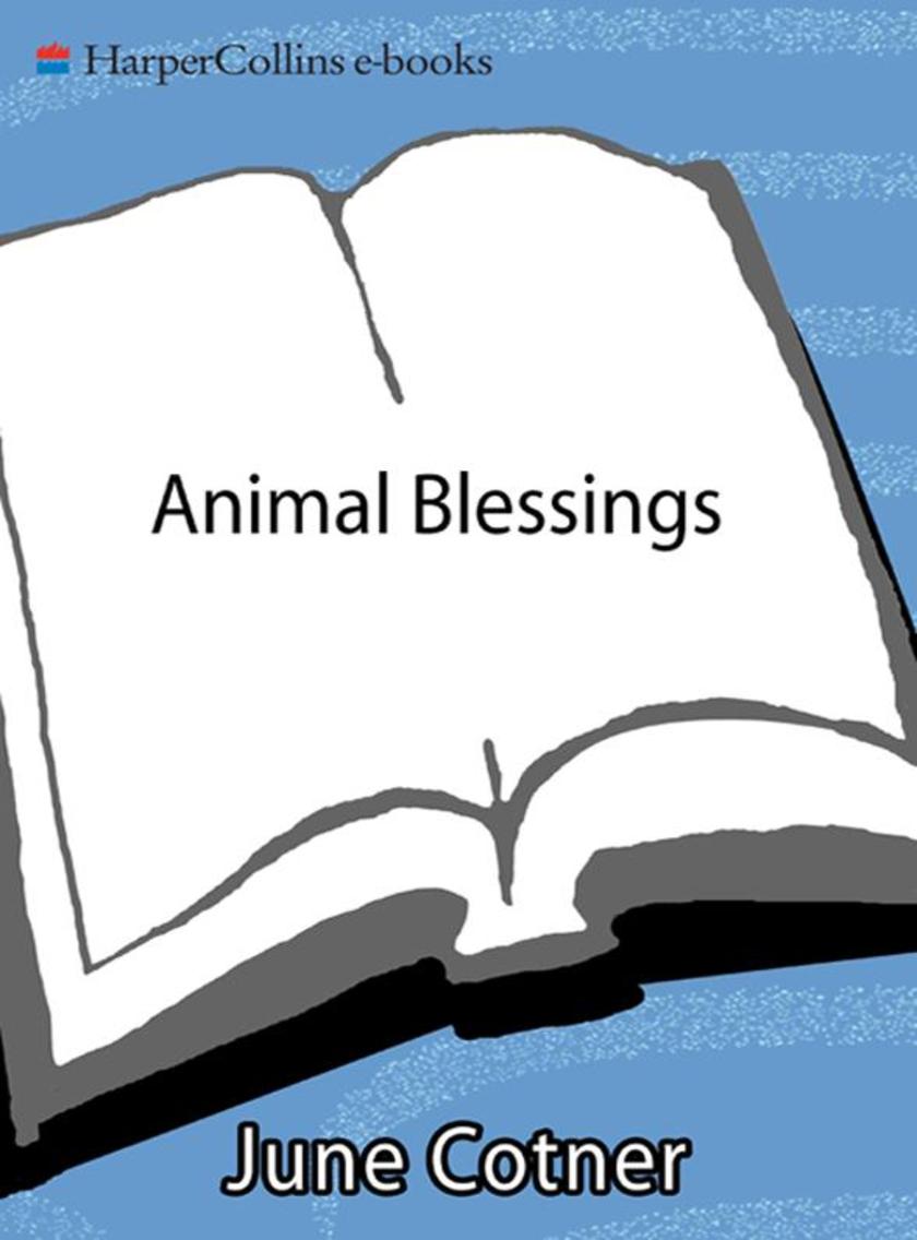 Animal Blessings