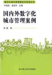 国内外数字化城市管理案例(仅适用PC阅读)