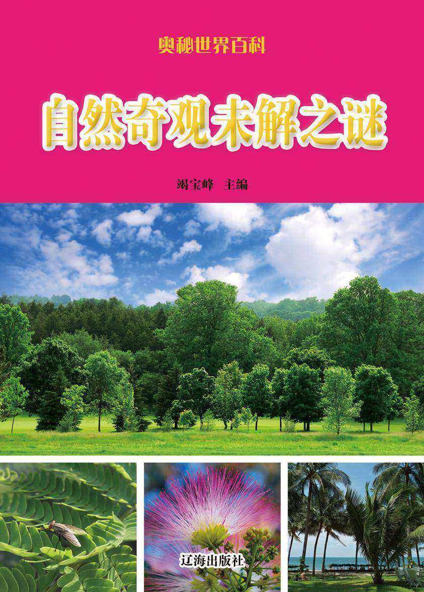自然奇观未解之谜