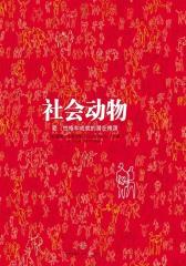 社会动物