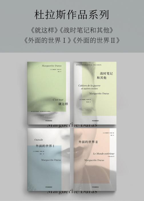 战时笔记和其他+就这样+外面的世界I+外面的世界II (杜拉斯系列套装四册)