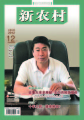 新农村 半月刊 2012年12期(电子杂志)(仅适用PC阅读)
