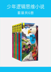 少年逻辑思维小说(套装共6册)