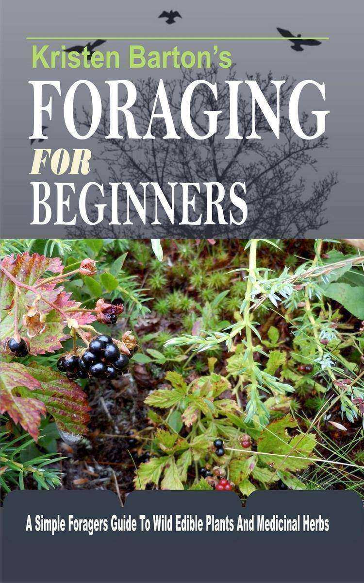 Foraging For Beginners: A Simple Foragers Guide To Wild Edible Plants And Medici