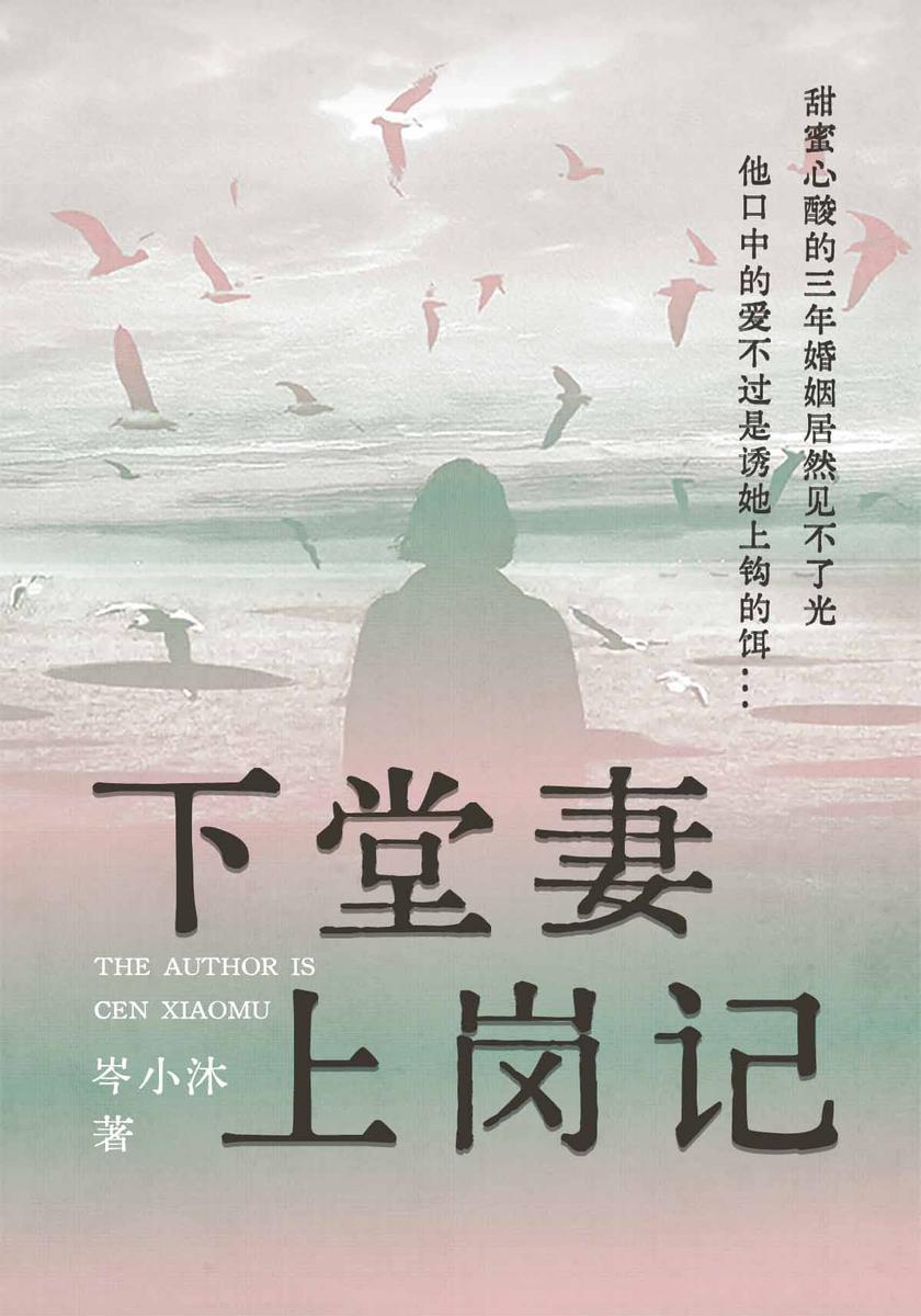 下堂妻上岗记
