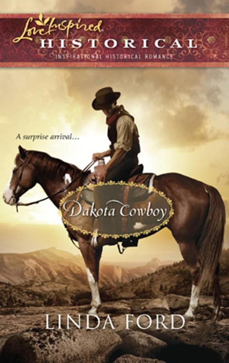 Dakota Cowboy (Mills &  Boon Love Inspired)