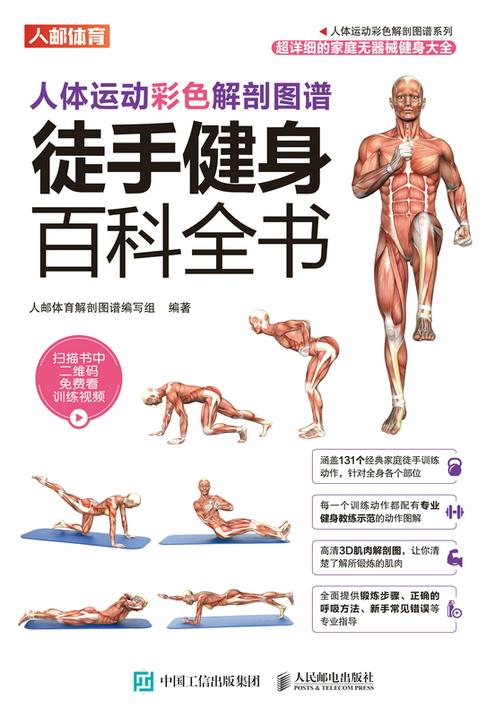 人体运动彩色解剖图谱:徒手健身百科全书