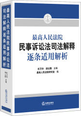 最高人民法院民事诉讼法司法解释逐条适用解析(试读本)