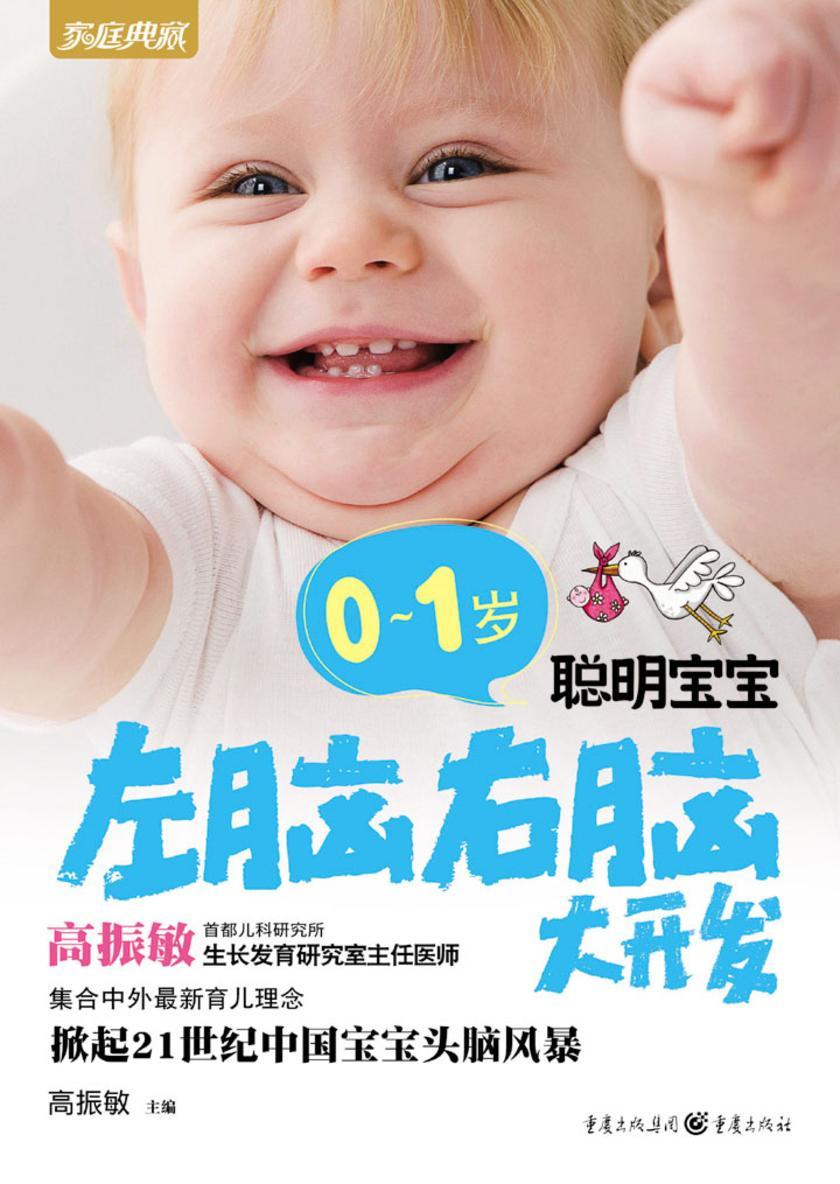 0～1岁聪明宝宝左脑右脑大开发