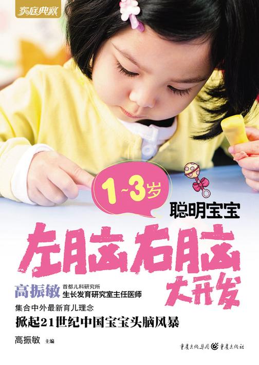 1～3岁聪明宝宝左脑右脑大开发