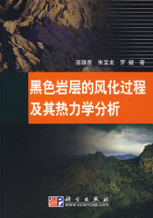 黑色岩层的风化过程及其热力学分析(试读本)