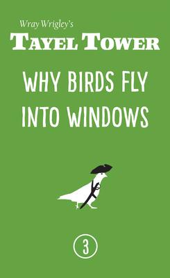 Why Birds Fly Into Windows