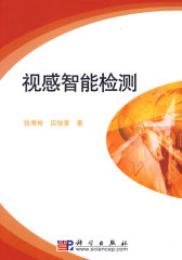 视感智能检测(试读本)