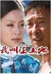 我叫王土地(影视)