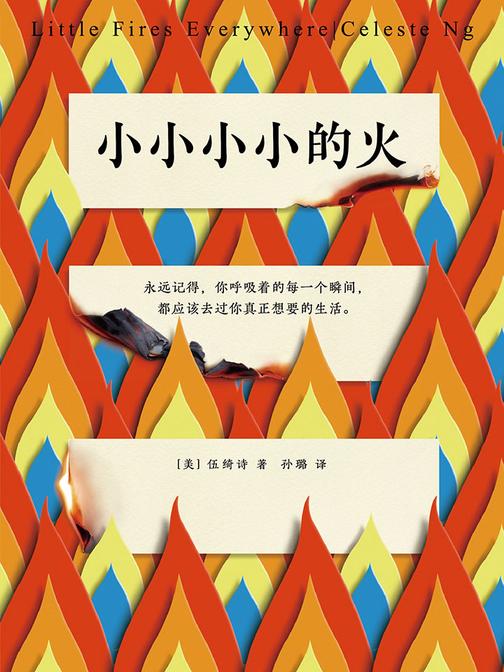 小小小小的火(《无声告白》作者重磅新作)