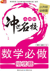 小升初冲进名校数学必做培优题(仅适用PC阅读)