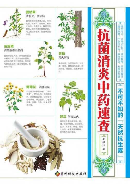 抗菌消炎中药速查：不可不知的“天然抗生素”