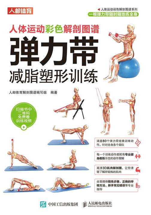 人体运动彩色解剖图谱:弹力带减脂塑形训练