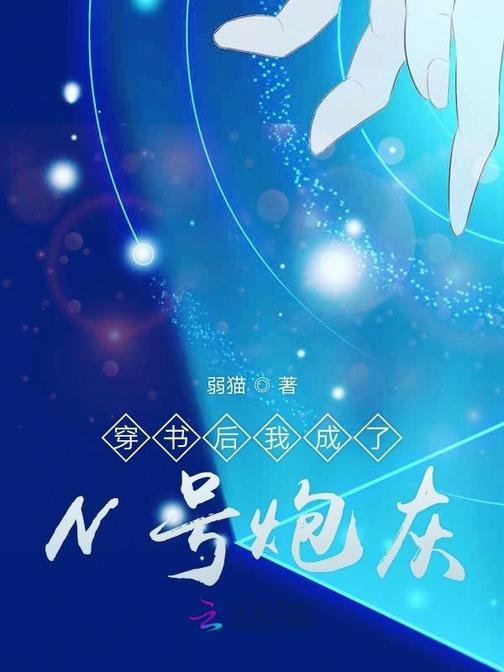 穿书后我成了N号炮灰