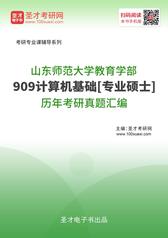 山东师范大学教育学部909计算机基础[专业硕士]历年考研真题汇编