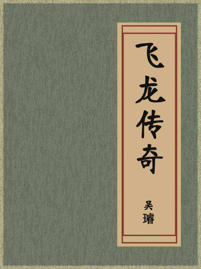 飞龙传奇