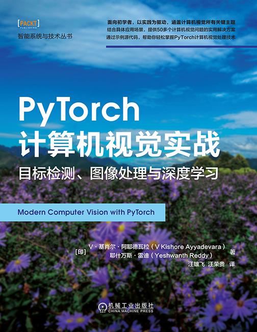 PyTorch计算机视觉实战:目标检测、图像处理与深度学习
