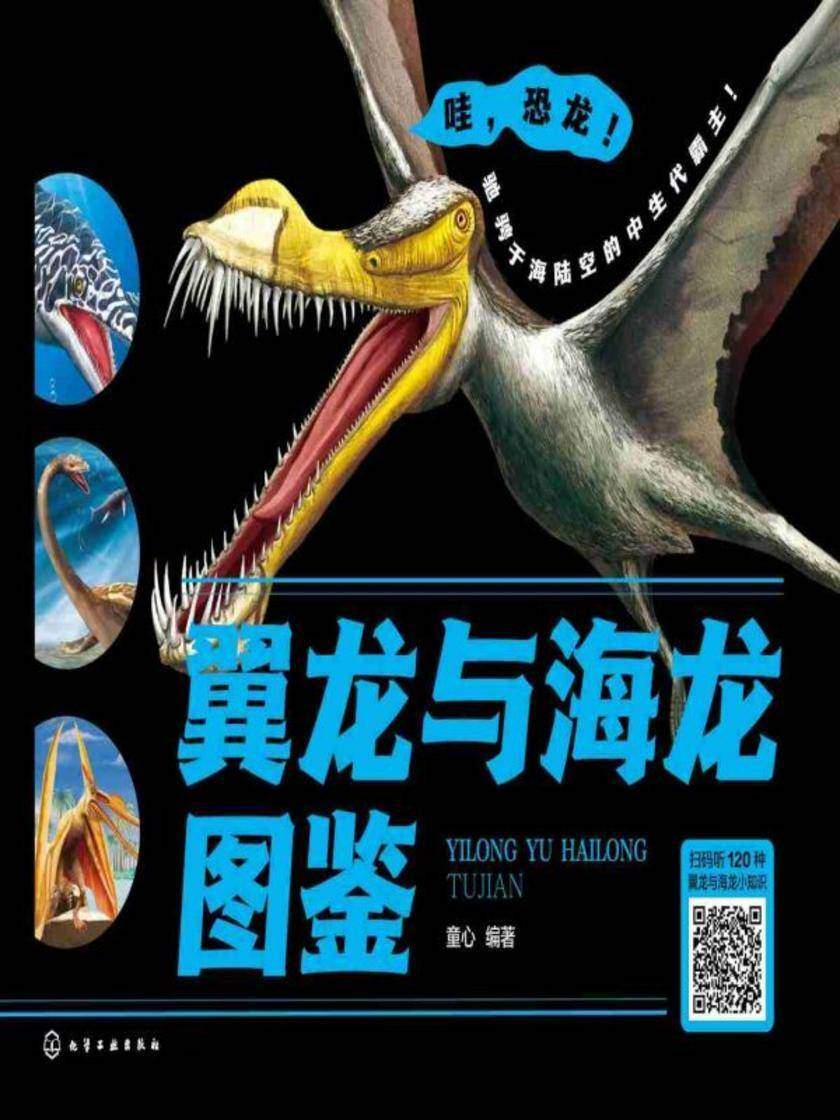 翼龙与海龙图鉴