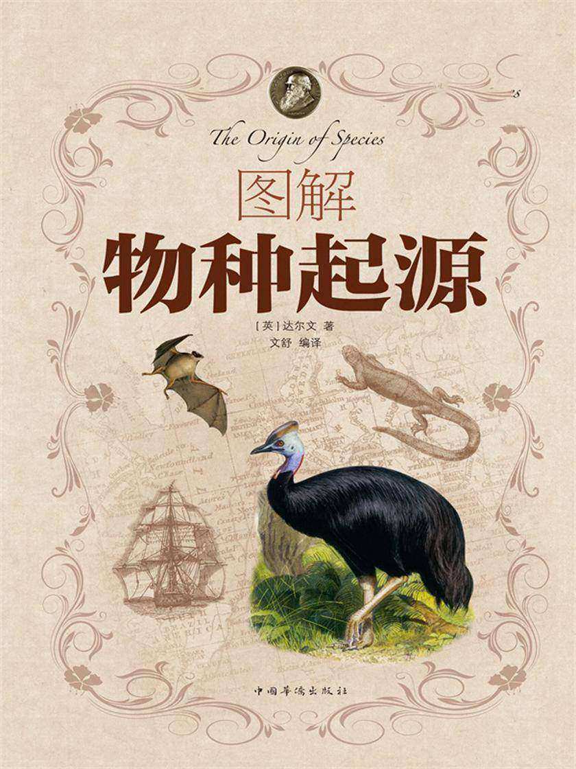 图解物种起源