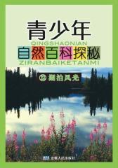 湖泊风光
