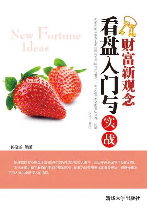 看盘入门与实战