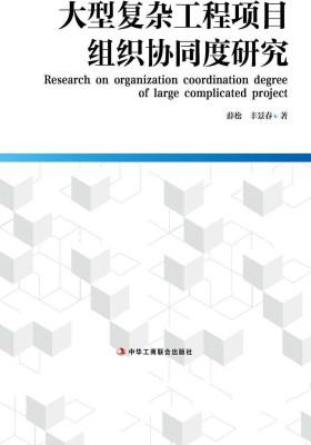 大型复杂工程项目组织协同度研究