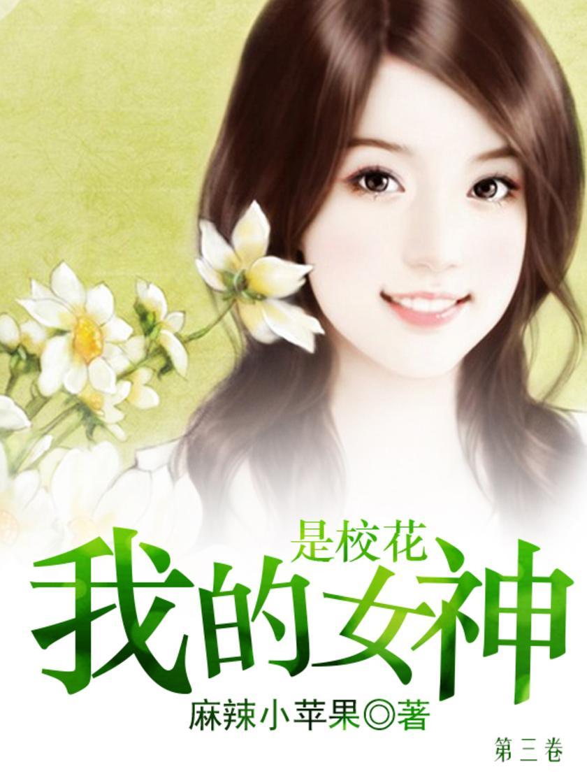 我的女神是校花(第三卷)