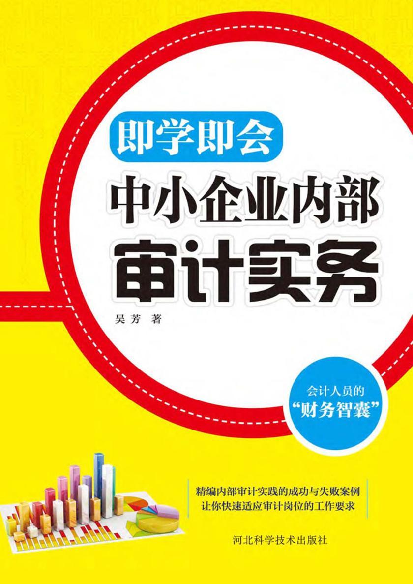 中小企业内部审计实务