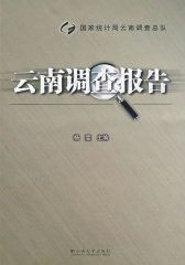 国家统计局云南调查总队——云南调查报告(试读本)