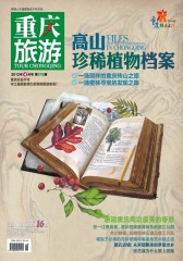 重庆旅游 月刊 2012年4月(电子杂志)(仅适用PC阅读)