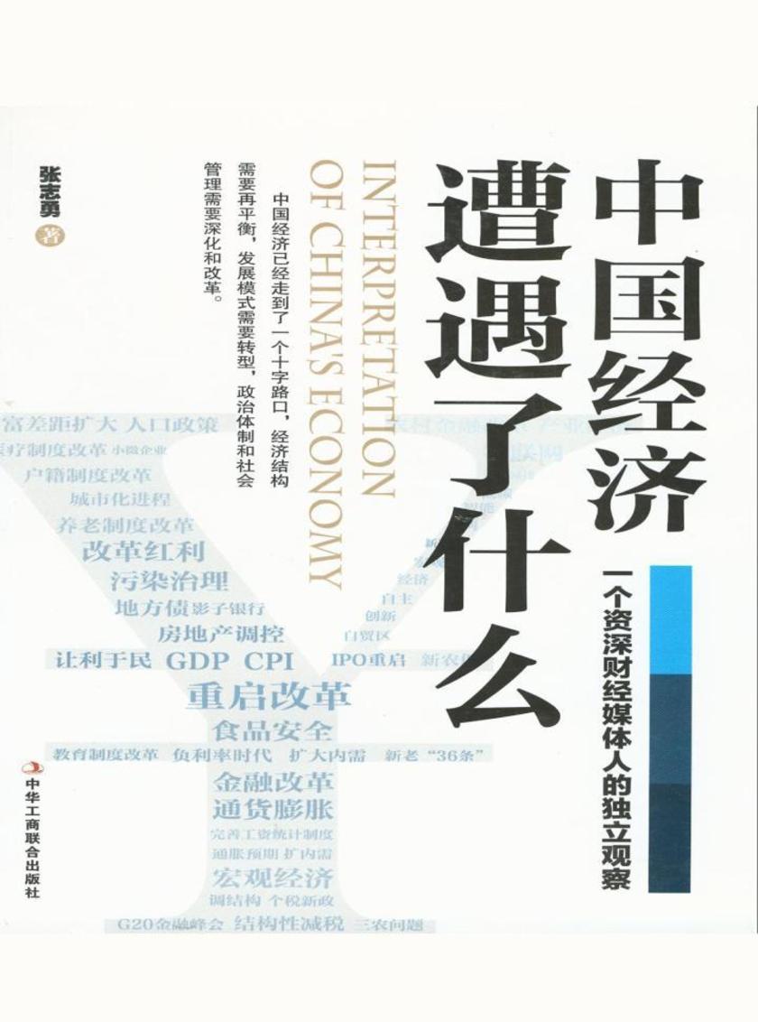 中国经济遭遇了什么