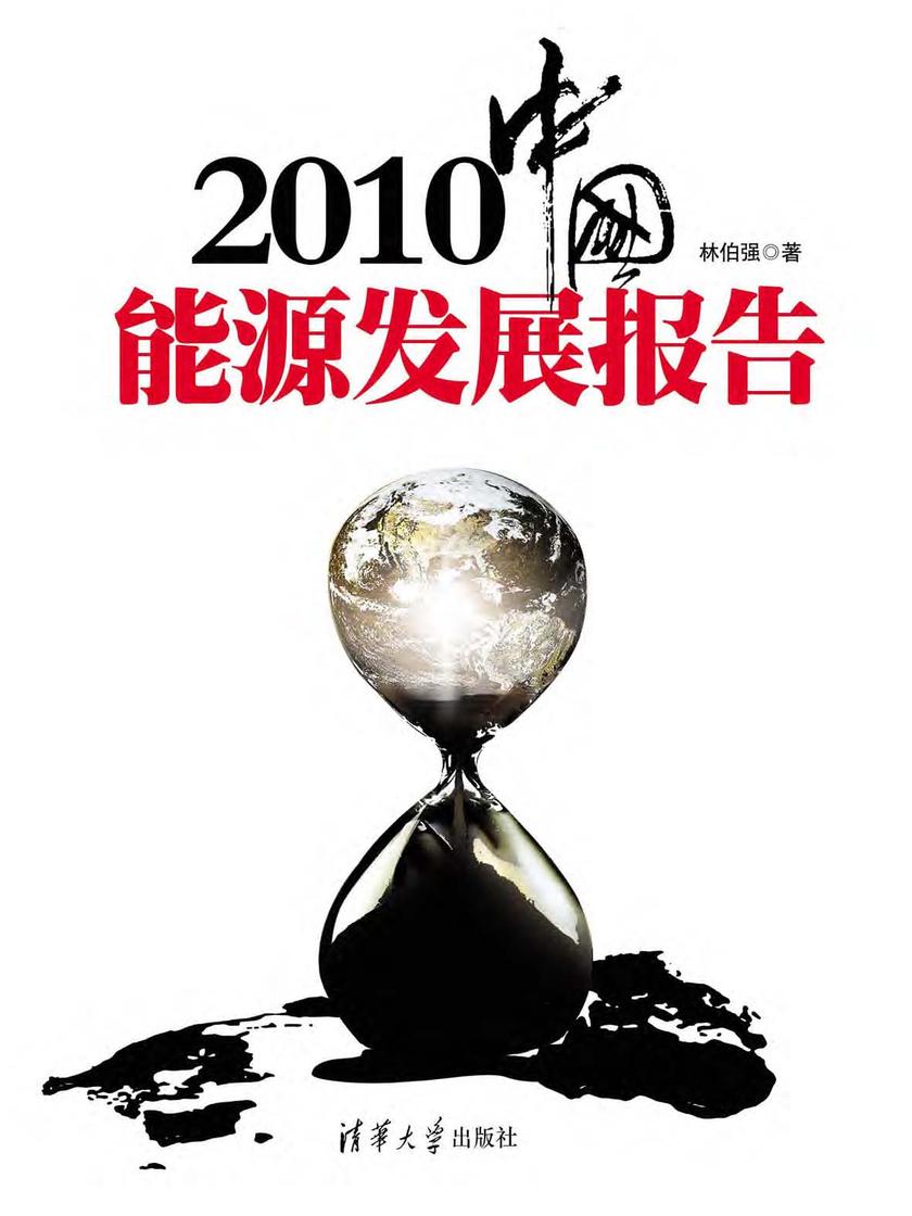 2010中国能源发展报告