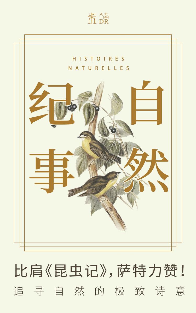 自然纪事(纯文字版)