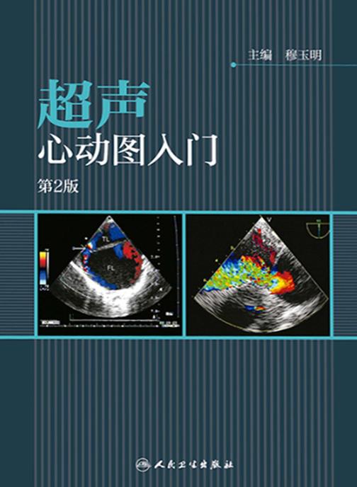 超声心动图入门(第2版)