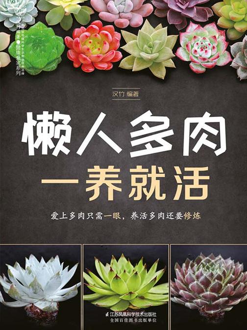 懒人多肉一养就活