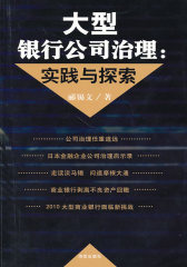 大型银行公司治理：实践与探索(试读本)