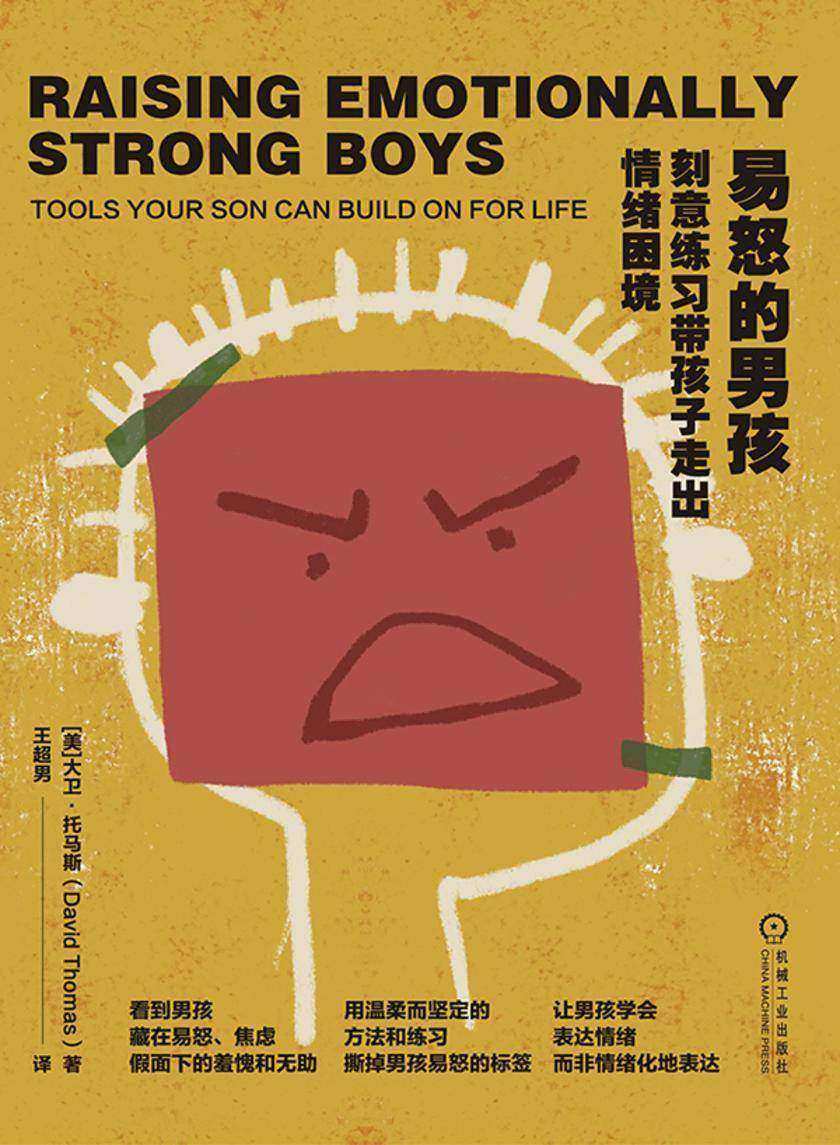 易怒的男孩:刻意练习带孩子走出情绪困境